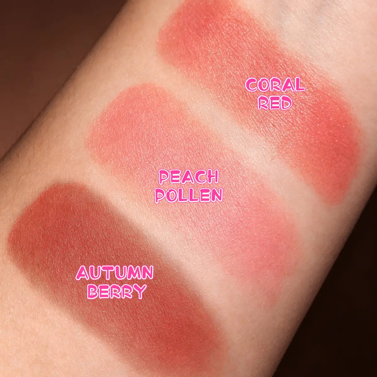 Vevolora Detail | vevolora-cloud-touch-blush-trio | 03